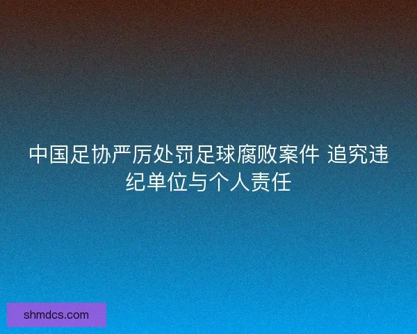中国足协严厉处罚足球腐败案件 追究违纪单位与个人责任